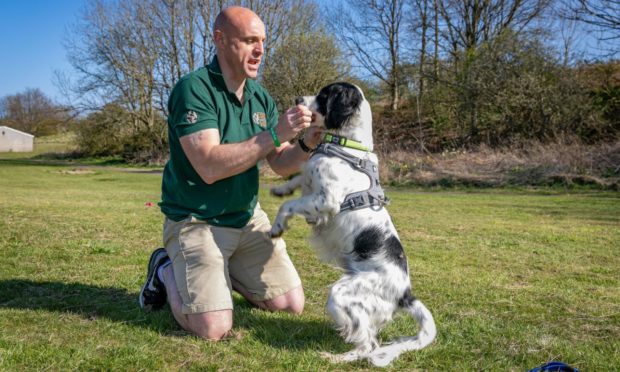 Mick Cairns from A Veteran's Best Friend with dog Sam.