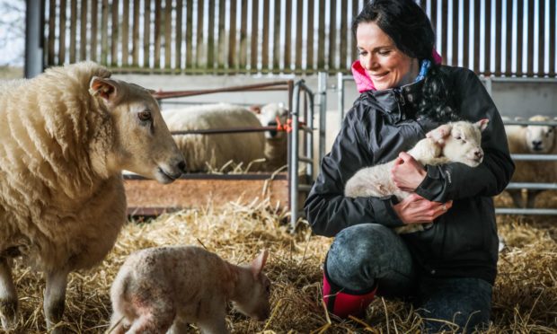 Gayle cuddles a newborn lamb at Debbie and Neil McGowan's farm, Incheoch, in Glensla.