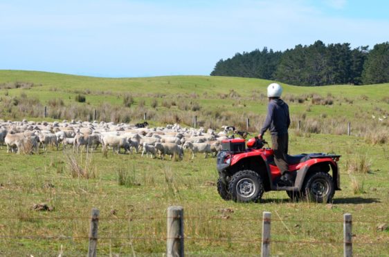 The average Scottish farm business income fell by more than a third last year.