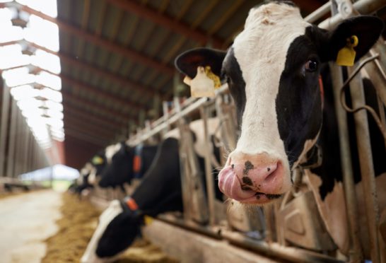 A third of UK adults believe farming significantly contributes to climate change.