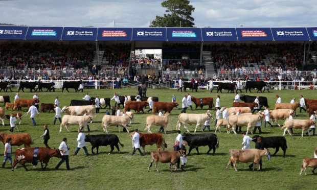 June's Royal Highland Showcase at Ingliston will see animals judged without spectators.
