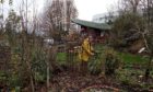 Ninewells community garden