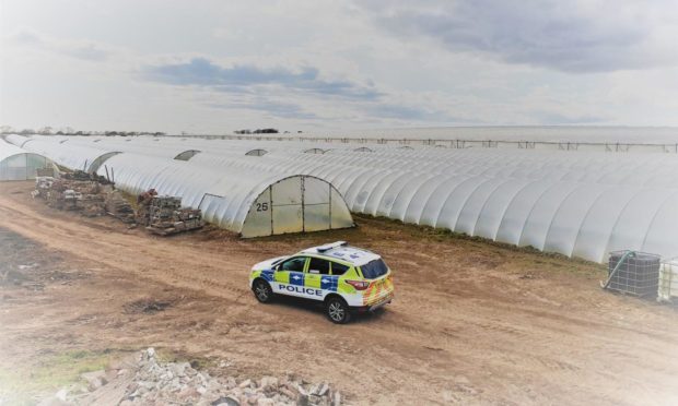 Damage was done to crops at a farm north of Arbroath this week.