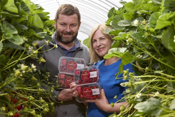 Ross and Anna Mitchell with their berries featuring the new logo.