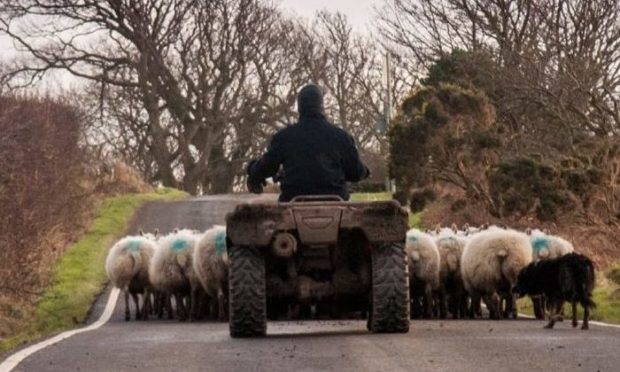 Tenant farmers have until May 24 to complete and return the survey.