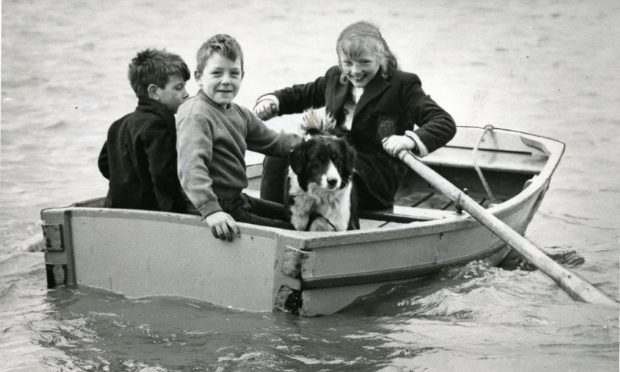 Children are joined by a collie on a boat at the Swannie Ponds back in 1964.