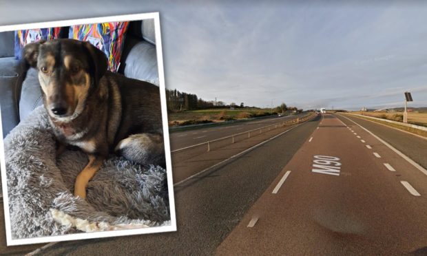 Concerned locals had tried to warn motorists to be on the lookout