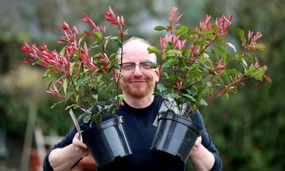 Garden Centres Dundee reopening