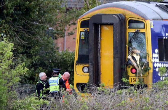 The tree smashed a number of windows on the train