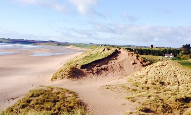 Stunning Lunan Bay beach.