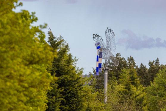 The grouse sculpture has been decked out in St Johnstone colours.