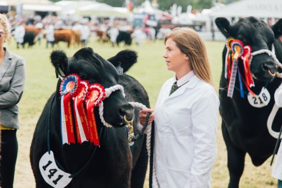 A group of next generation judges has been unveiled for the beef classes at the showcase.