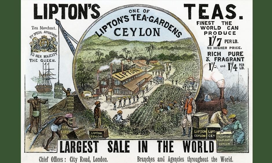 People from the north-east went off to produce tea in far-flung parts of China, Asia and India during the 19th century.