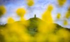 People mill around St. Michael's tower on top of Glastonbury Tor as it is seen through blooming yellow rapeseed on a day of mixed weather in Glastonbury, Somerset. Picture date: Sunday May 9, 2021. PA Photo. Photo credit should read: Ben Birchall/PA Wire