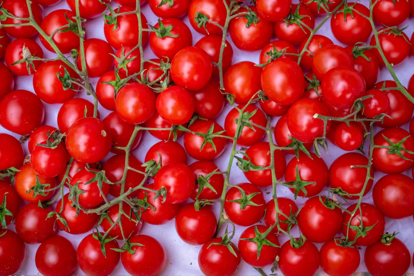 Harvest cherry tomatoes.