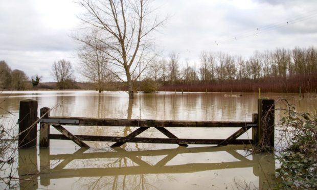 SURVIVAL: New research indicates that while more farmers are acknowledging the climate is changing, uncertainties make planning ahead difficult.