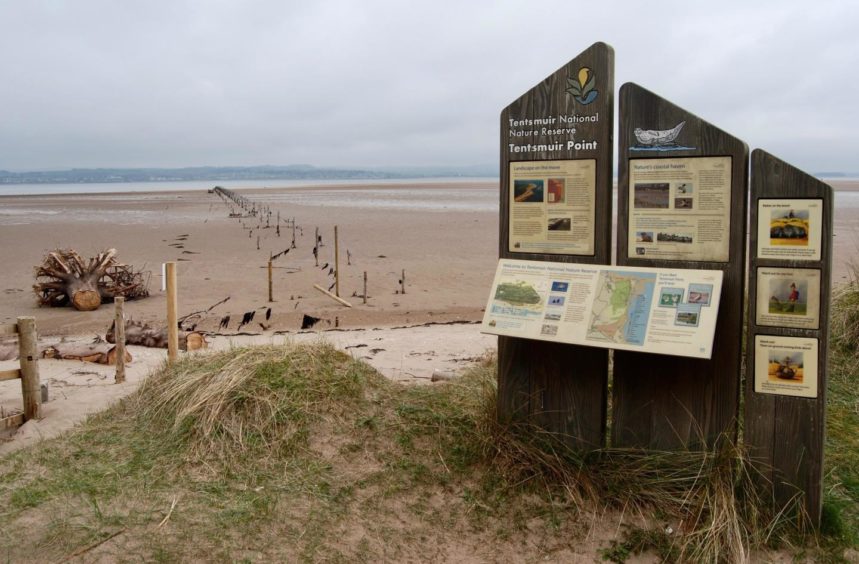 Information boards at the north entrance to Tentsmuir nature reserve