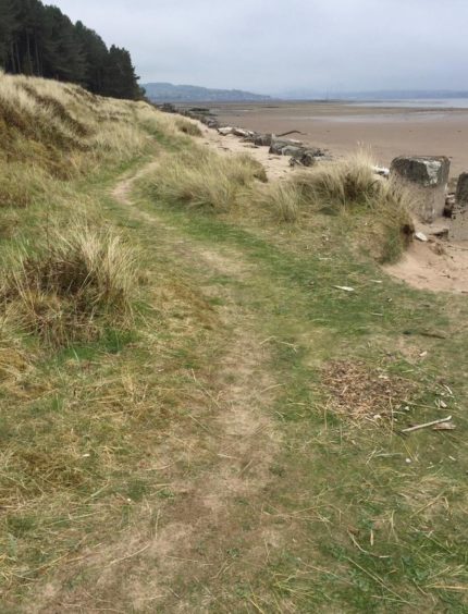 A grassy path above the shore at Tentsmuir Nature Reserve