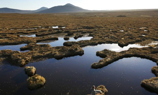 Scotland has missed another environmental target.