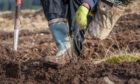 Tree planting targets could be met with small-scale farm woodland schemes.