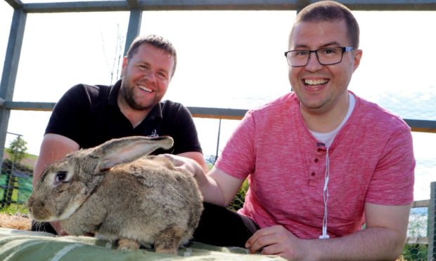 Pete and group member Christopher Daniel Rodger are joined by STAR farm resident Floppsy.