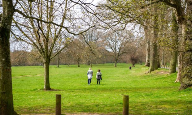 Dundee parks