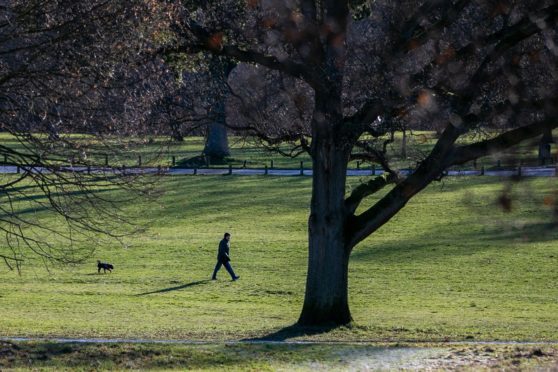 Camperdown Park