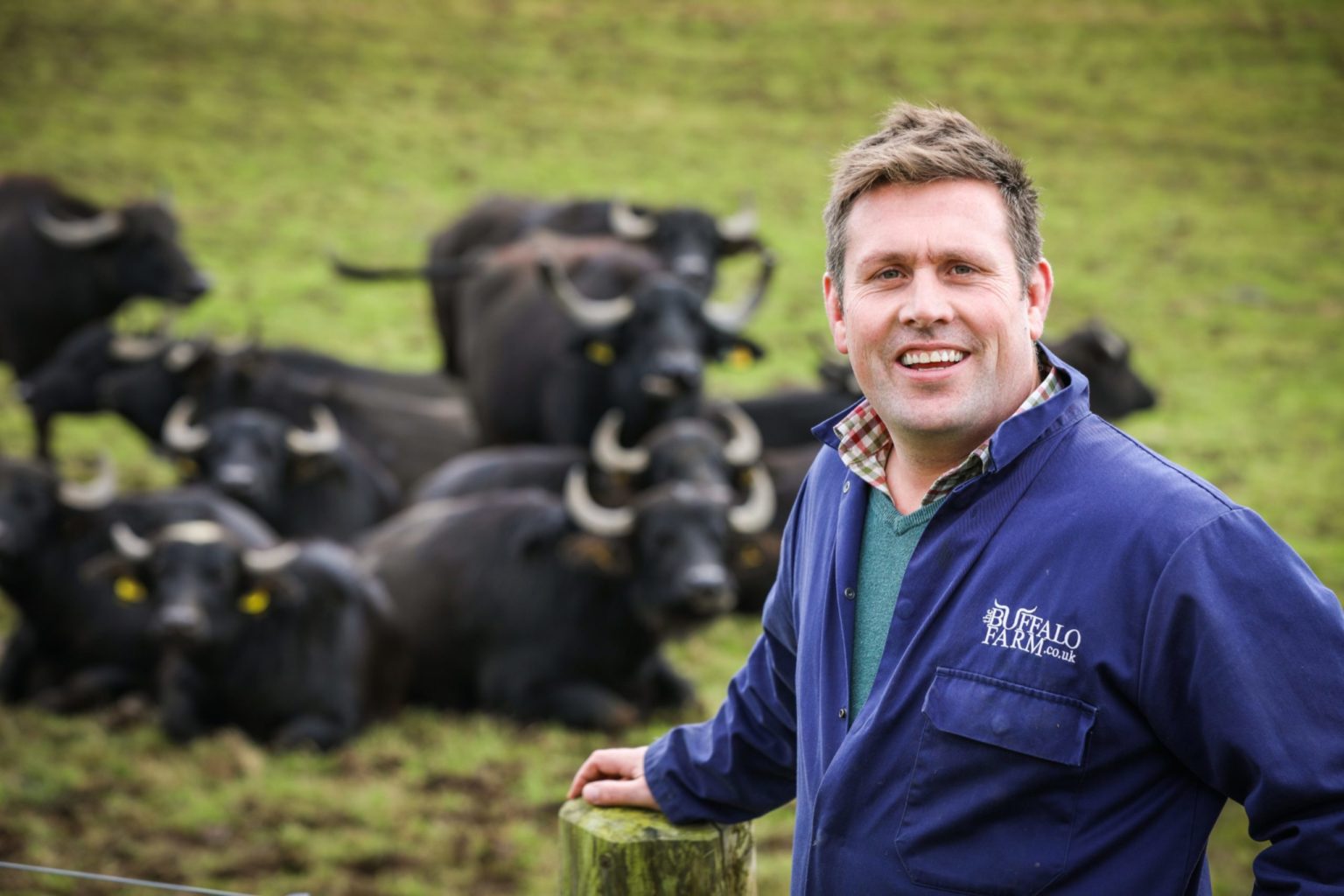 Fife Farmer's Rollercoaster 14-year Journey To Open Buffalo Mozzarella 