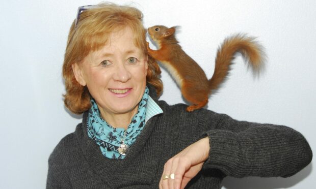 Aberfeldy-based wildlife rehabilitor Polly Pullar has rescued hundreds of red squirrels and hand-reared and returned them to the wild.