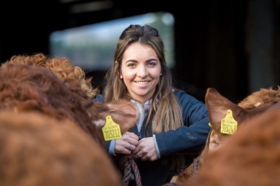 Stephanie Dick will judge the Limousin, Charolais, commercial and any other continental breeds of cattle.