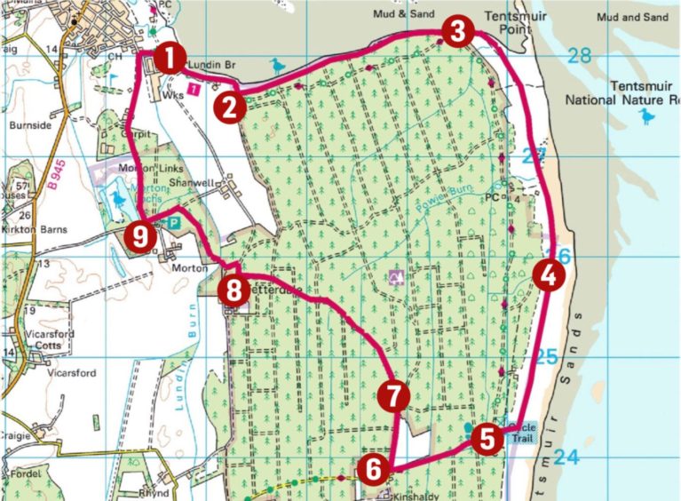 A map detailing the 9 main points of the Tentsmuir Forest walk