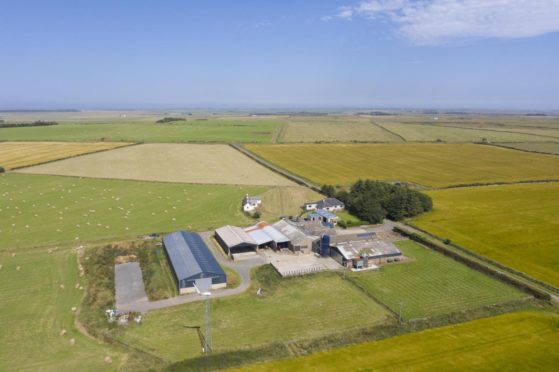 Wester Olrig Farm is for sale for offers over £1.5m.