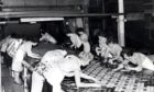 Women making inlaid linoleum, c.1960.