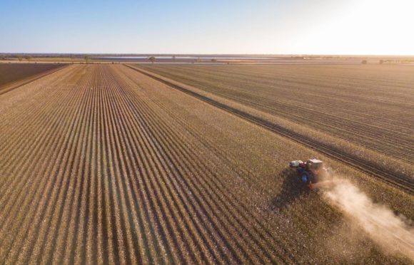 A farm in Queensland, Australia.