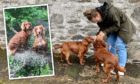 Iona McGregor reunited with her two stolen dogs after they were found in separate locations in England.