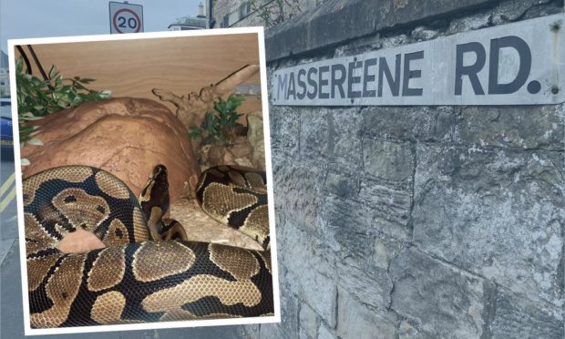 An appeal has been made to find a pet python snake which remains at large after escaping in Kirkcaldy.
