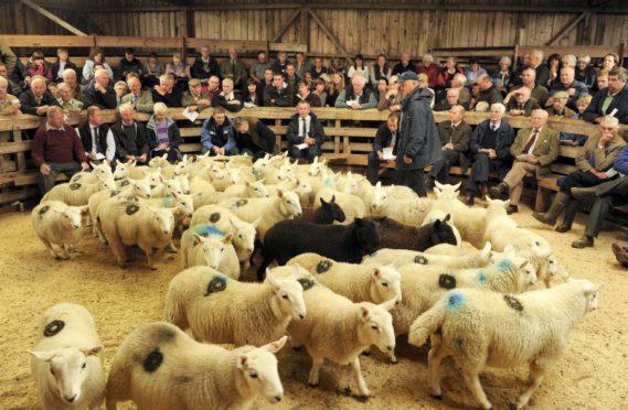 The report estimates there are 142 livestock marts in operation across the UK.