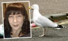 Dundee woman who was attacked by a gull