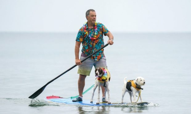 George Humphreys and his dogs a pointer called Wilma and a terrier named Smurf, practice in the sea on their paddleboard before they take part in Dogmasters, the country's only dog surfing and paddleboard championship, at Branksome Beach in Poole, Dorset.. Andrew Matthews/PA Wire