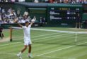 Novak Djokovic celebrates victory against Denis Shapovalov.