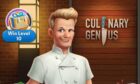 Gordon Ramsay Chef Blast game created by Outplay Entertainment.
