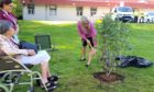 NHS Tayside held a tree planting ceremony to celebrate the group