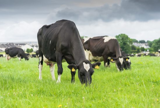 The EMB estimates dairy farmers are working for £2.56 an hour.