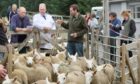 DRY: Lairg lamb sales were almost back to normal - but there was still no bar.