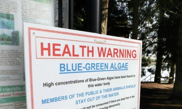 Fife Council have issued a warning about blue-green algae