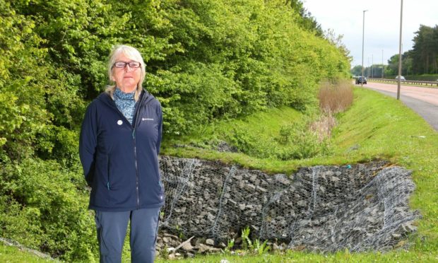 Jeannie Cooper beside the Broughty Ferry hedge at the heart of the Aldi fight.