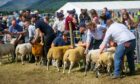 GREATEST SHOW ON EARTH: We will all greatly miss the Aberfeldy Show this month, with the high-quality sheep, cattle and horses on display.