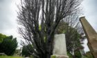 The tree was set on fire in Dundee's Eastern Cemetery.
