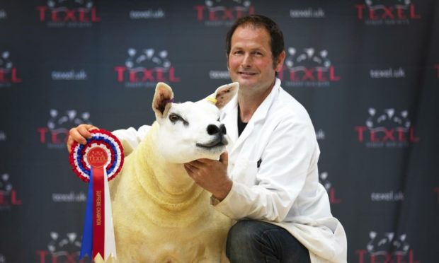Perthshire breeder Robert Cockburn with his champion gimmer.