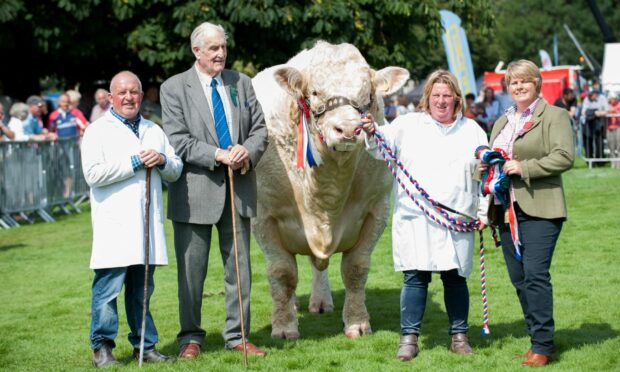 Balthayock's supreme champion at the last Perth Show on South Inch in 2019.